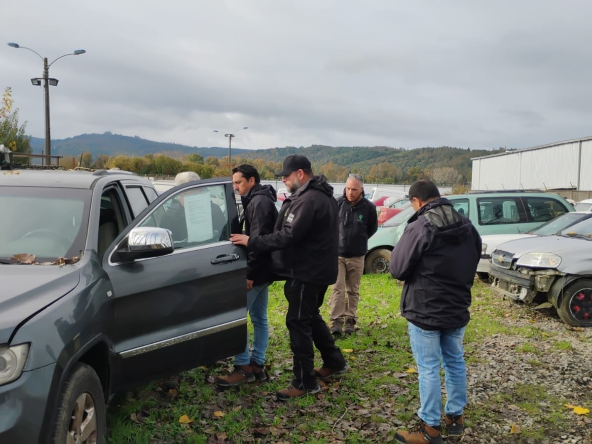 Municipio de Valdivia realizará nuevo remate con más de 120 vehículos disponibles