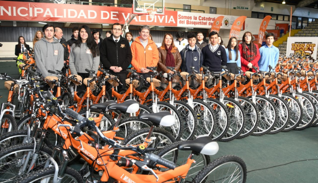 Plantilla para Web Municipal (13).png