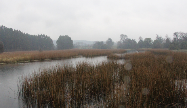 Plantilla para Web Municipal (14).png