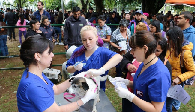 Plantilla para Web Municipal (16).png