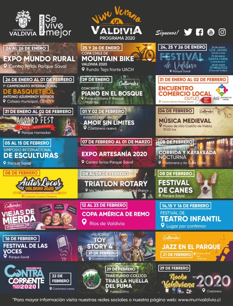 programa verano en valdivia_2020.jpeg