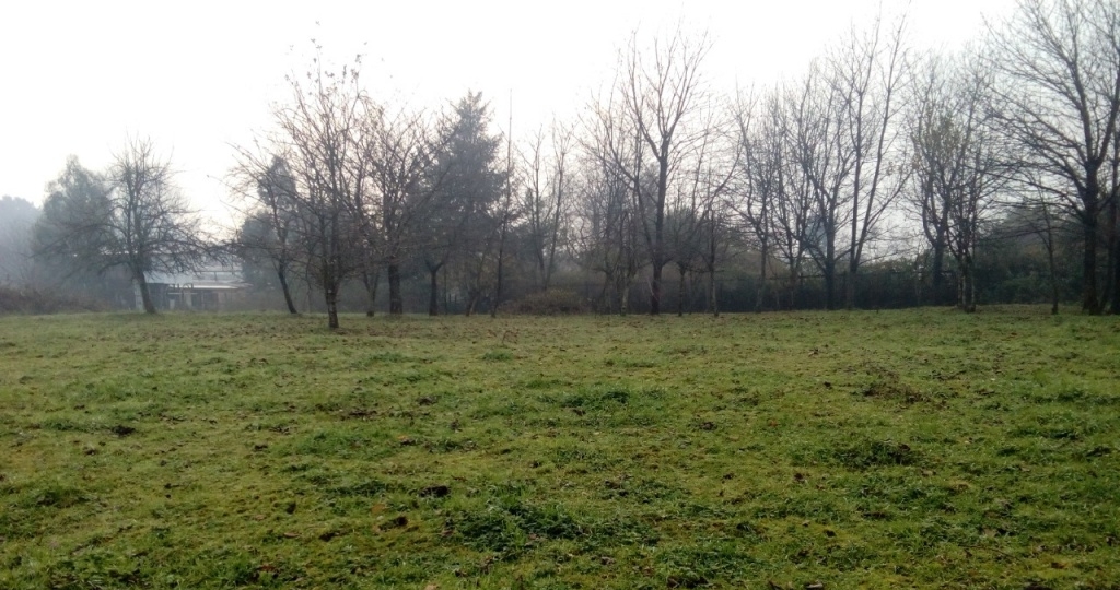 WhatsApp Image 2020-05-05 at 22.03.34.jpeg