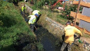 WEB_limpieza_canales_2025_3