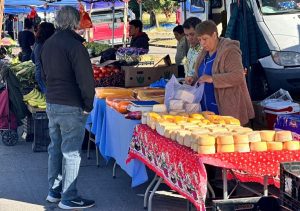 WhatsApp_Image_2025-01-15_at_53318_PM_1