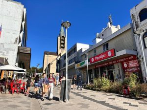 WhatsApp_Image_2025-01-16_at_64204_PM_1_1