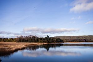 WhatsApp_Image_2025-01-24_at_15400_PM