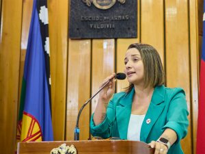 web_aniversario_desam_0000s_0009_Aniversario_DESAM_14_5_2025 34