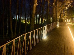 web_borde_humedal_0000s_0007_inauguración_borde_humedal_20_5_2025 36