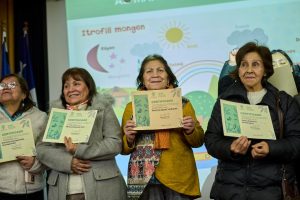 Certificación_talleres_asuntos_indígenas_30_6_2025 (17)