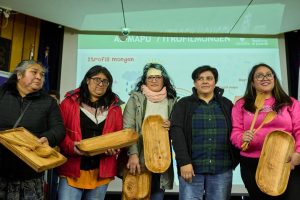 Certificación_talleres_asuntos_indígenas_30_6_2025 (48)