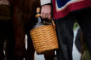 desfile_guacamayo_1_9_2025 37