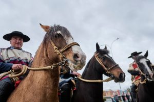 desfile_guacamayo_1_9_2025 51