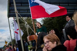 desfile_guacamayo_1_9_2025 66