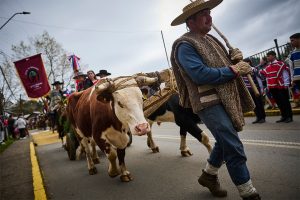 desfile_niebla_15_9_2025 130