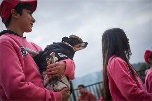 desfile_niebla_15_9_2025 90
